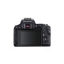Цифровий фотоапарат Canon EOS 250D kit 18-55 IS STM Black (3454C007) Цифровий фотоапарат Canon EOS 250D kit 18-55 IS STM Black (3454C007)