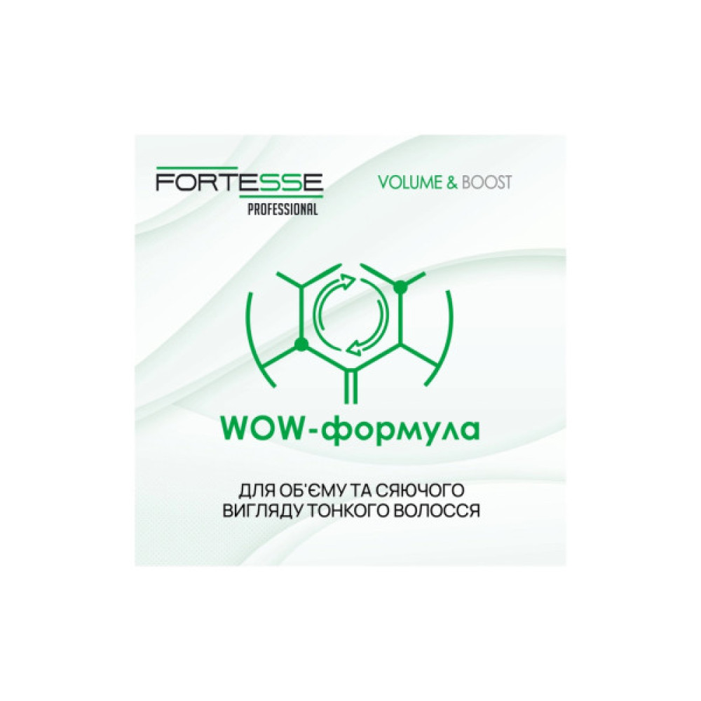 Шампунь Fortesse Professional Volume & Boost Для об'єму волосся 1000 мл (4820000306157)