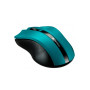 Мишка Canyon MW-5 Wireless Green-Black (CNE-CMSW05G) Мишка Canyon MW-5 Wireless Green-Black (CNE-CMSW05G)