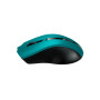 Мишка Canyon MW-5 Wireless Green-Black (CNE-CMSW05G) Мишка Canyon MW-5 Wireless Green-Black (CNE-CMSW05G)