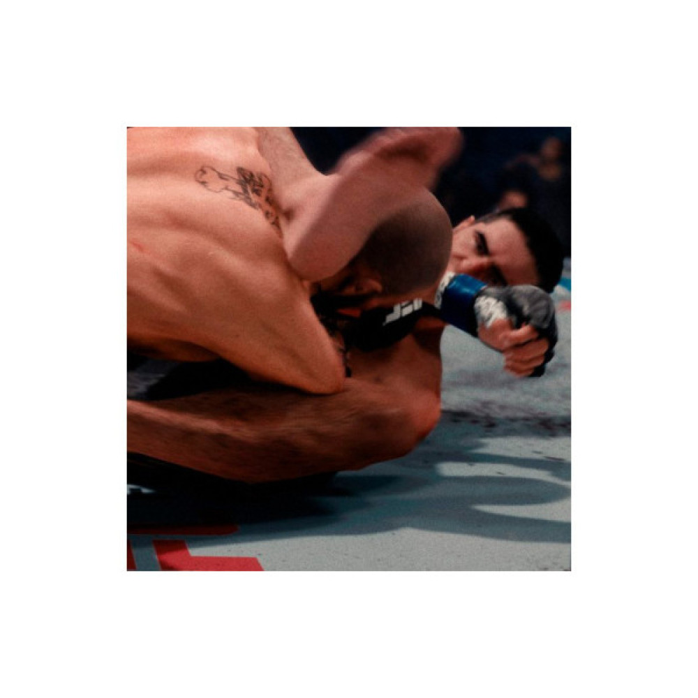 Гра Sony EA Sports UFC 5 , BD диск (5908305248255)