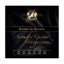 Струни для гітари Framus Phosphor Bronze Light 12-String (10-47) (47240 12S) Струни для гітари Framus Phosphor Bronze Light 12-String (10-47) (47240 12S)