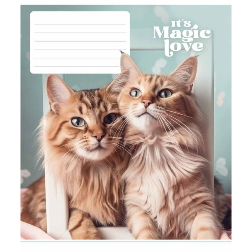 Зошит Школярик It's a magic love 12 аркушів лінія (012-3300L)