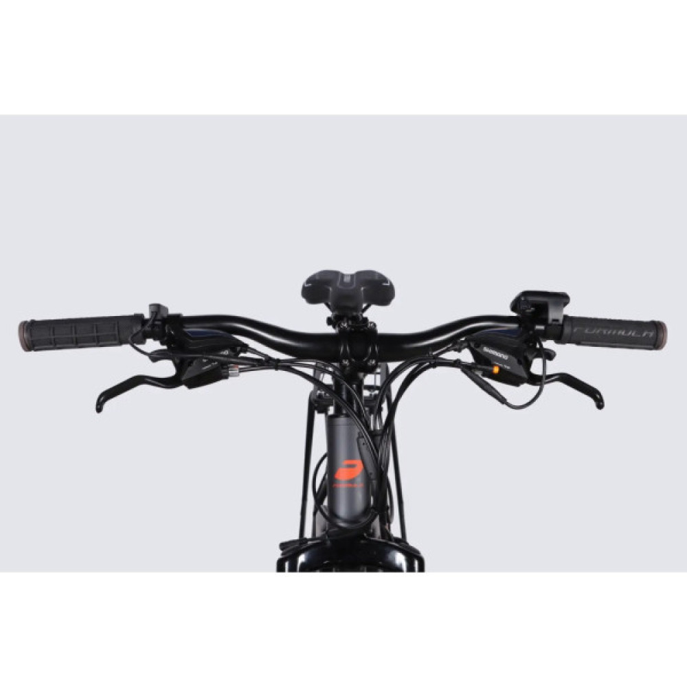 Електровелосипед Formula 29" eMOTION PLUS DD FR рама-19" 48B 15А*г 500Вт 2026 сіро-сріблястий (ELB-FR-29-261)