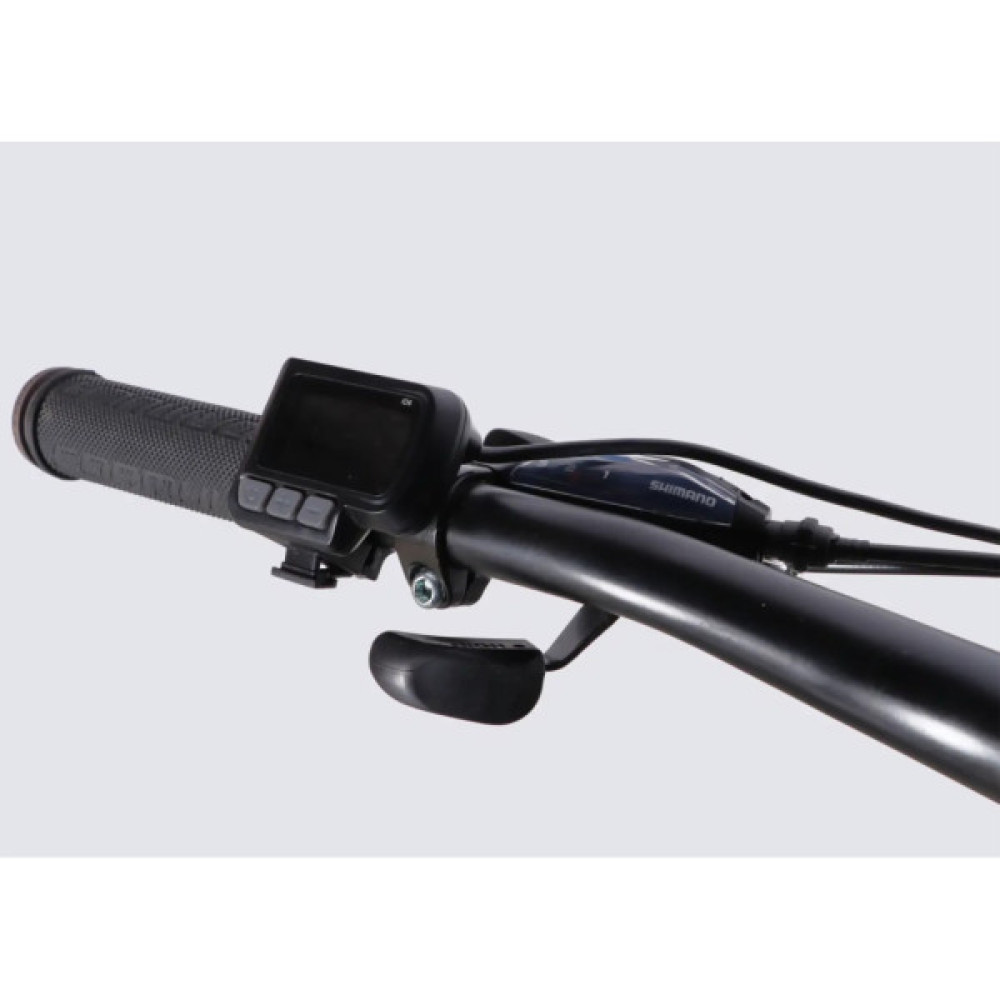 Електровелосипед Formula 29" eMOTION PLUS DD FR рама-19" 48B 15А*г 500Вт 2026 сіро-сріблястий (ELB-FR-29-261)