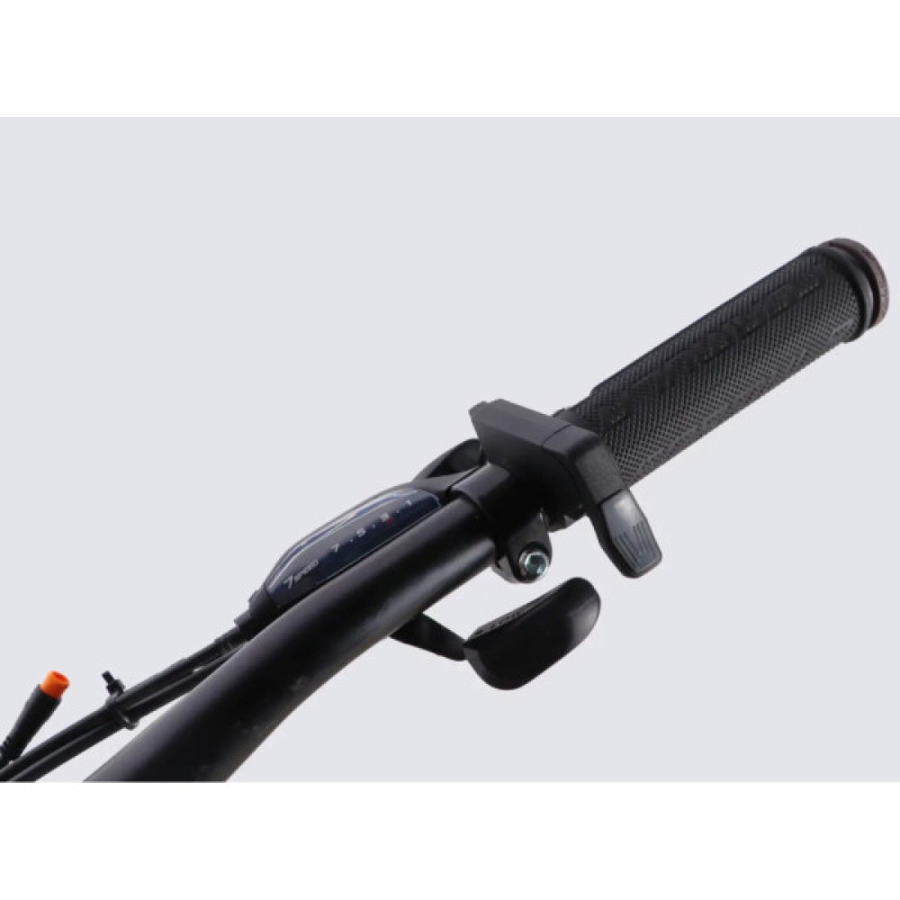 Електровелосипед Formula 29" eMOTION PLUS DD FR рама-19" 48B 15А*г 500Вт 2026 сіро-сріблястий (ELB-FR-29-261)