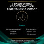 Сухий корм для кішок Purina Pro Plan Veterinary Diets EN з хворобами шлунково-кишкового тракту 400 г (7613035156371/7613035154537) Сухий корм для кішок Purina Pro Plan Veterinary Diets EN з хворобами шлунково-кишкового тракту 400 г (7613035156371/7613035154537)