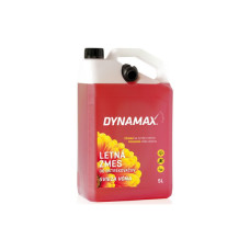 Омивач автомобільний DYNAMAX FOREST FRUIT 5 л