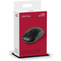 Мишка Speedlink Ceptica Wireless Black (SL-630013-BKBK) Мишка Speedlink Ceptica Wireless Black (SL-630013-BKBK)