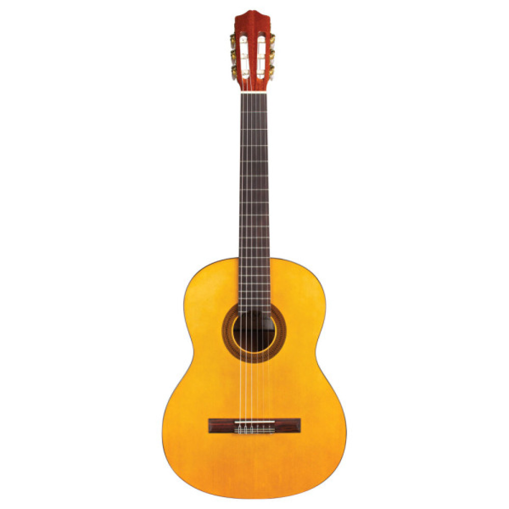 Гітара класична Cordoba C1 With Gig Bag