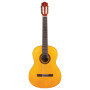 Гітара класична Cordoba C1 With Gig Bag Гітара класична Cordoba C1 With Gig Bag