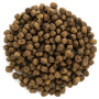 Сухий корм для кішок Brit Care Cat GF Indoor Anti-stress 2 кг (8595602540853) Сухий корм для кішок Brit Care Cat GF Indoor Anti-stress 2 кг (8595602540853)