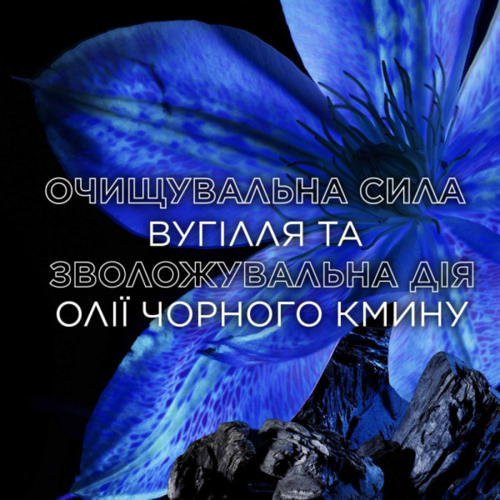 Кондиціонер для волосся Garnier Botanic Therapy Магнетичне вугілля 200 мл (3600542512268)