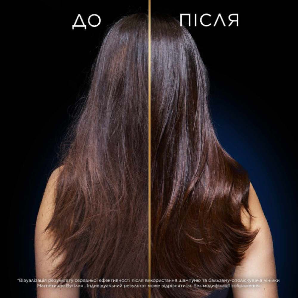 Кондиціонер для волосся Garnier Botanic Therapy Магнетичне вугілля 200 мл (3600542512268)