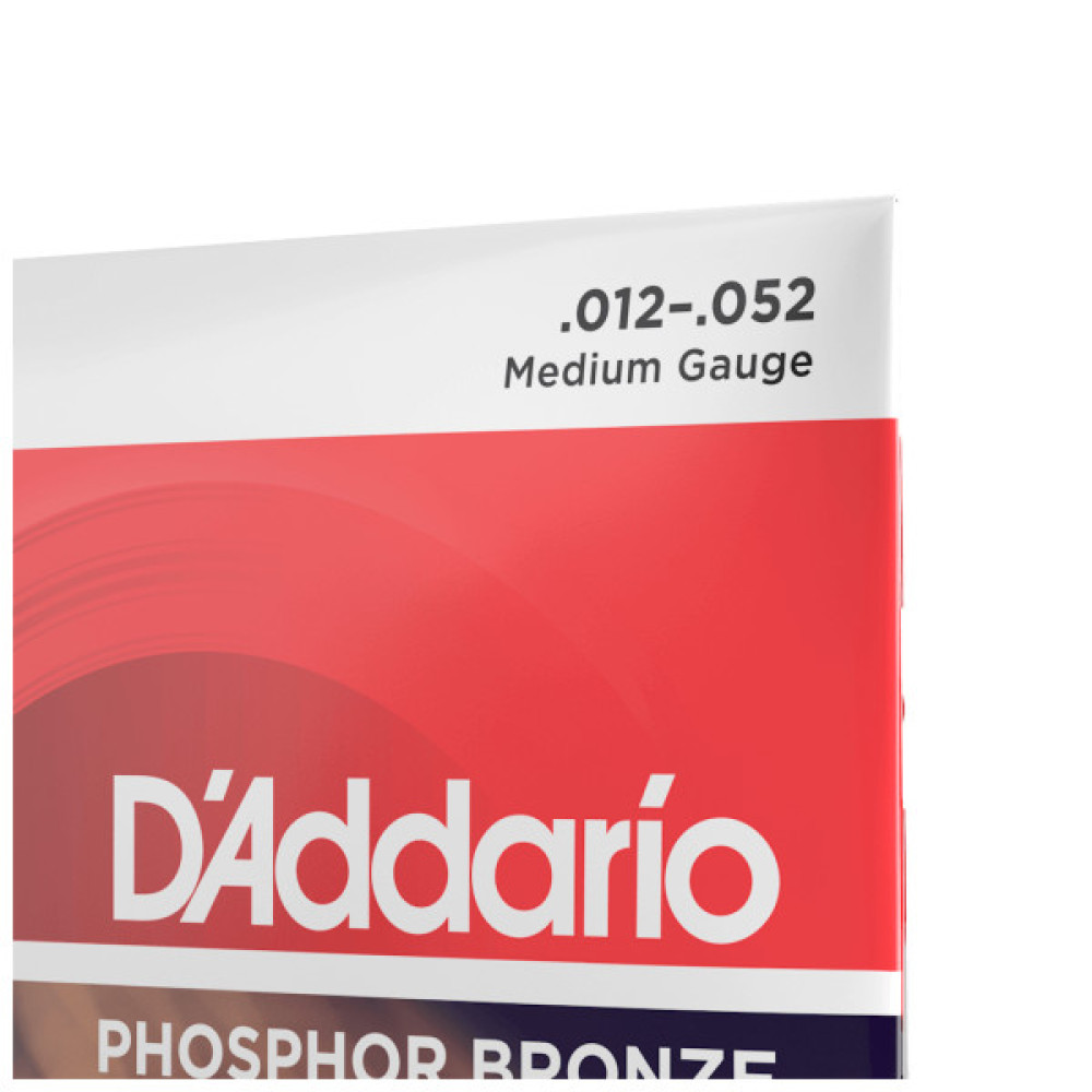 Струни для гітари D'Addario Phosphor Bronze Medium 12-String (12-52) (EJ39)