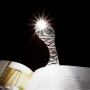 Закладки для книг Flexilight ліхтарик - Мумія (FLMY)