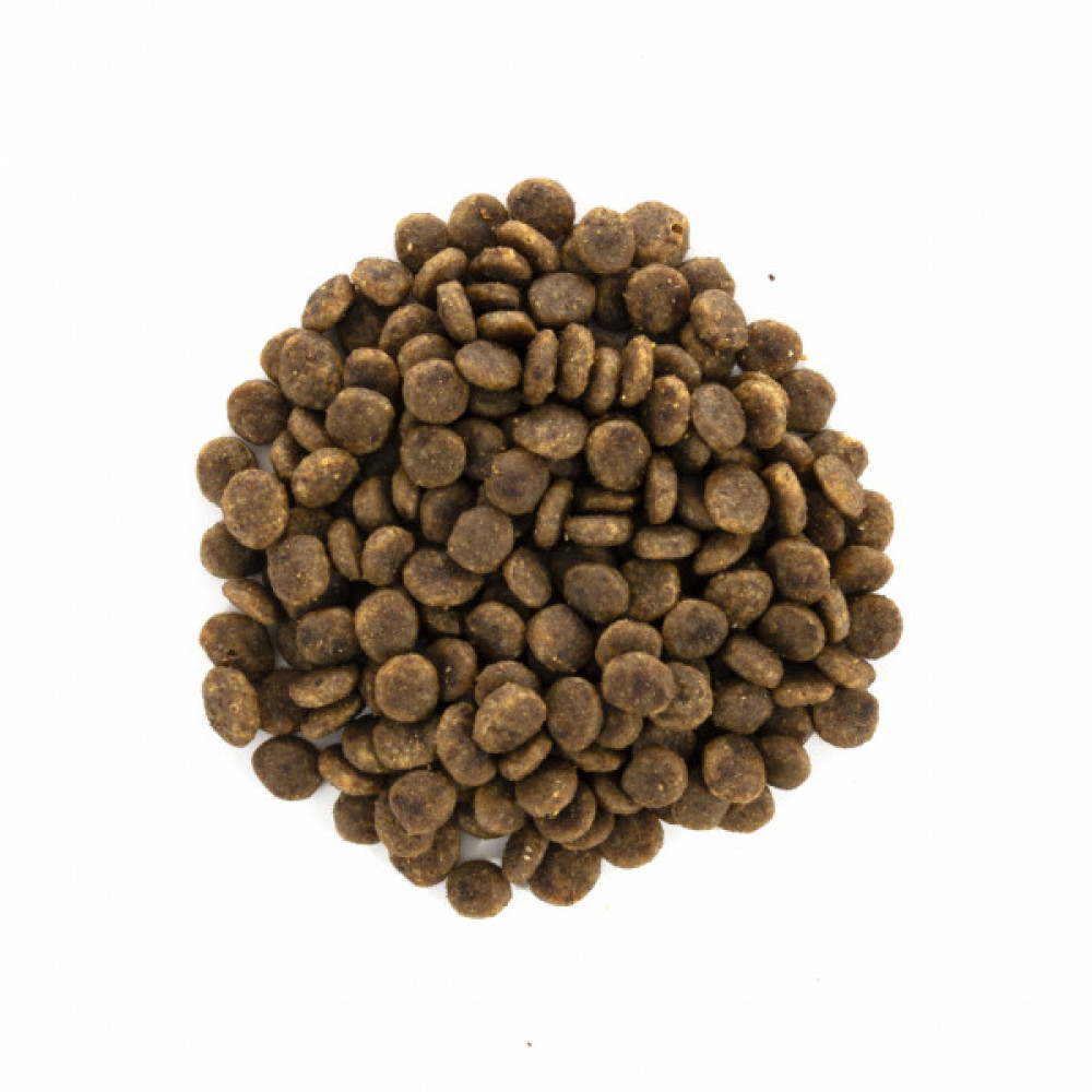 Сухий корм для кішок Brit Care Cat GF Sensitive HDigestion and Delicate Taste 7 кг (8595602540693)