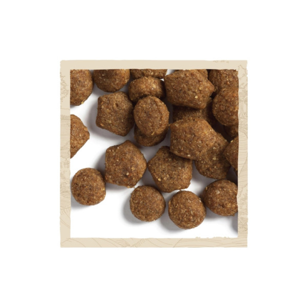 Сухий корм для собак Purina Dog Chow Puppy Lamb зі смаком ягняти 2.5 кг (7613034488657)