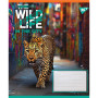 Зошит Yes The wild in the city А5 60 аркушів клітинка (767770) Зошит Yes The wild in the city А5 60 аркушів клітинка (767770)