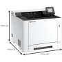 KYOCERA ECOSYS PA2101cx (110C253NL0)