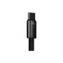 Дата кабель USB 2.0 AM to USB-C 1.0m 100W black Baseus (CAWJ000001) Дата кабель USB 2.0 AM to USB-C 1.0m 100W black Baseus (CAWJ000001)