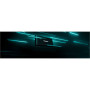 KINGSTON SXS1000/1000G