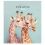 Зошит Школярик Love in paradise 48 аркушів клітинка (048-3256K) Зошит Школярик Love in paradise 48 аркушів клітинка (048-3256K)