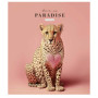 Зошит Школярик Love in paradise 48 аркушів клітинка (048-3256K) Зошит Школярик Love in paradise 48 аркушів клітинка (048-3256K)