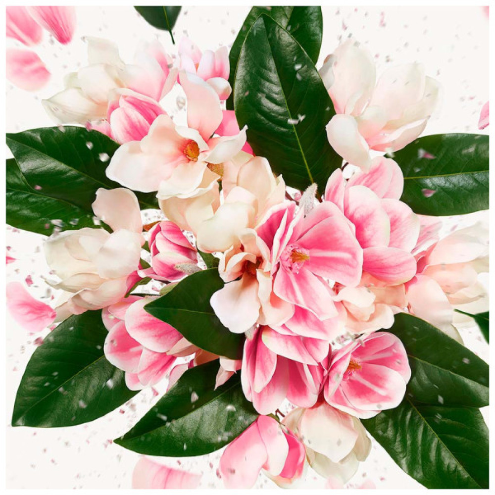 Парфумована вода Gucci Flora Gorgeous Jasmine 50 мл (3616302968534)