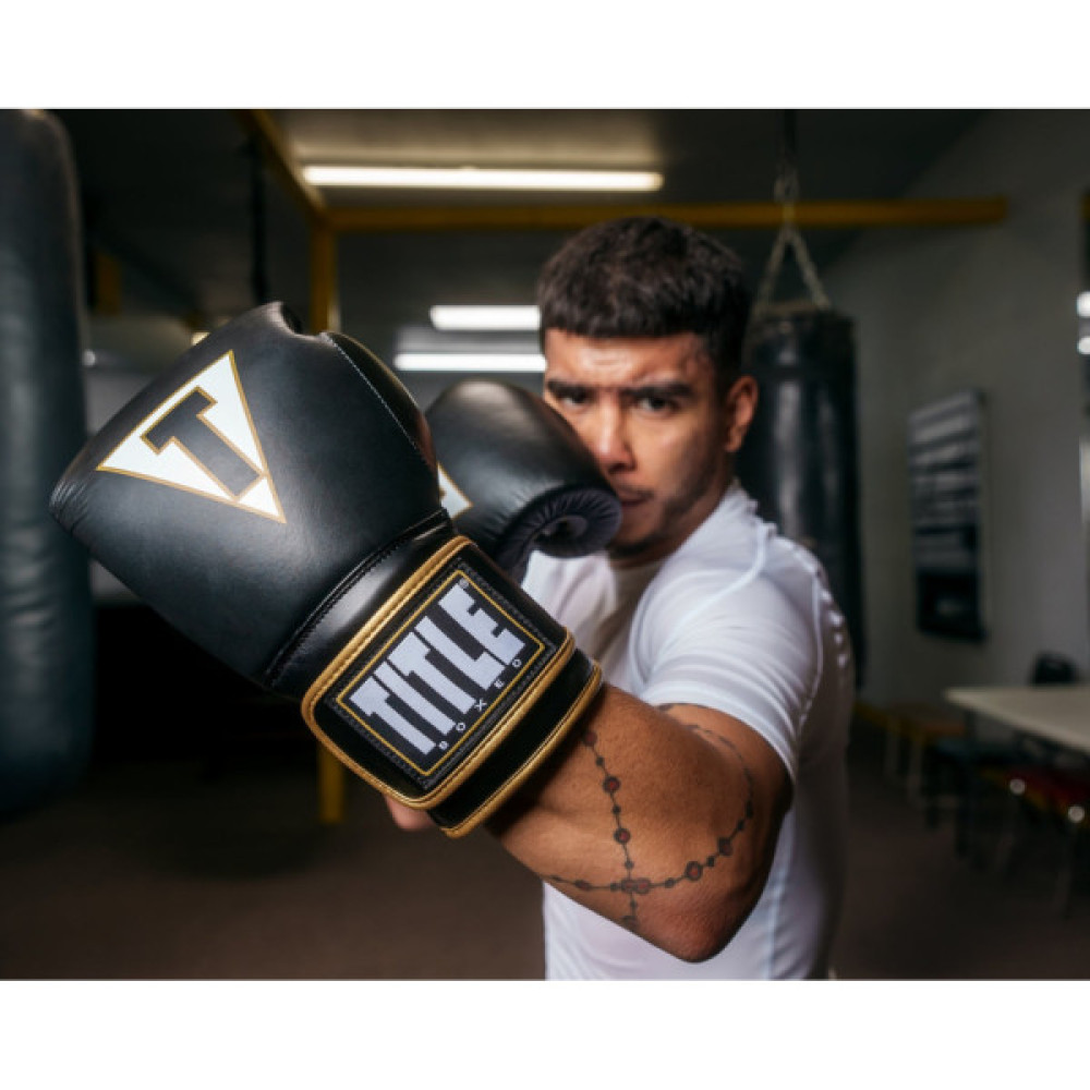 Боксерські рукавички Title Boxeo Mexican Leather Quatro Black/White 14 oz (BATGE4 14 oz BK/WH)
