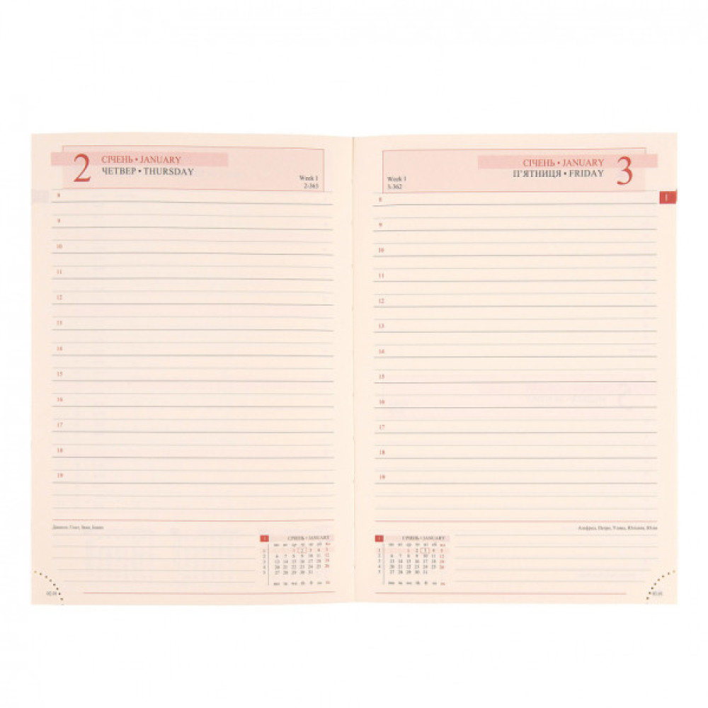 Тижневик Leo planner датований 2025 Rettangolo А5 368 сторінок (252588)
