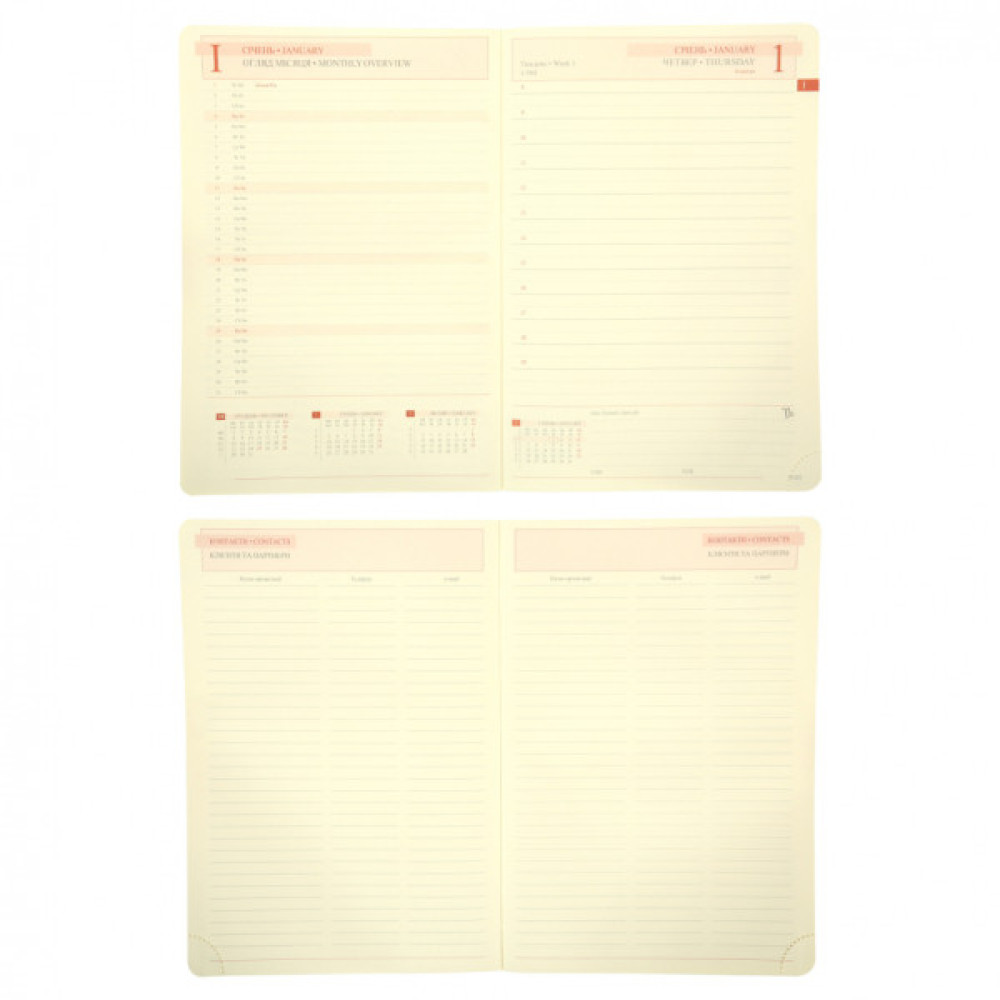 Тижневик Leo planner А5 датований 2026 "Persona", твердий, бордовий, 368 сторінок (252663)