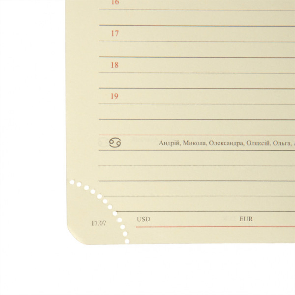 Тижневик Leo planner А5 датований 2026 "Persona", твердий, бордовий, 368 сторінок (252663)