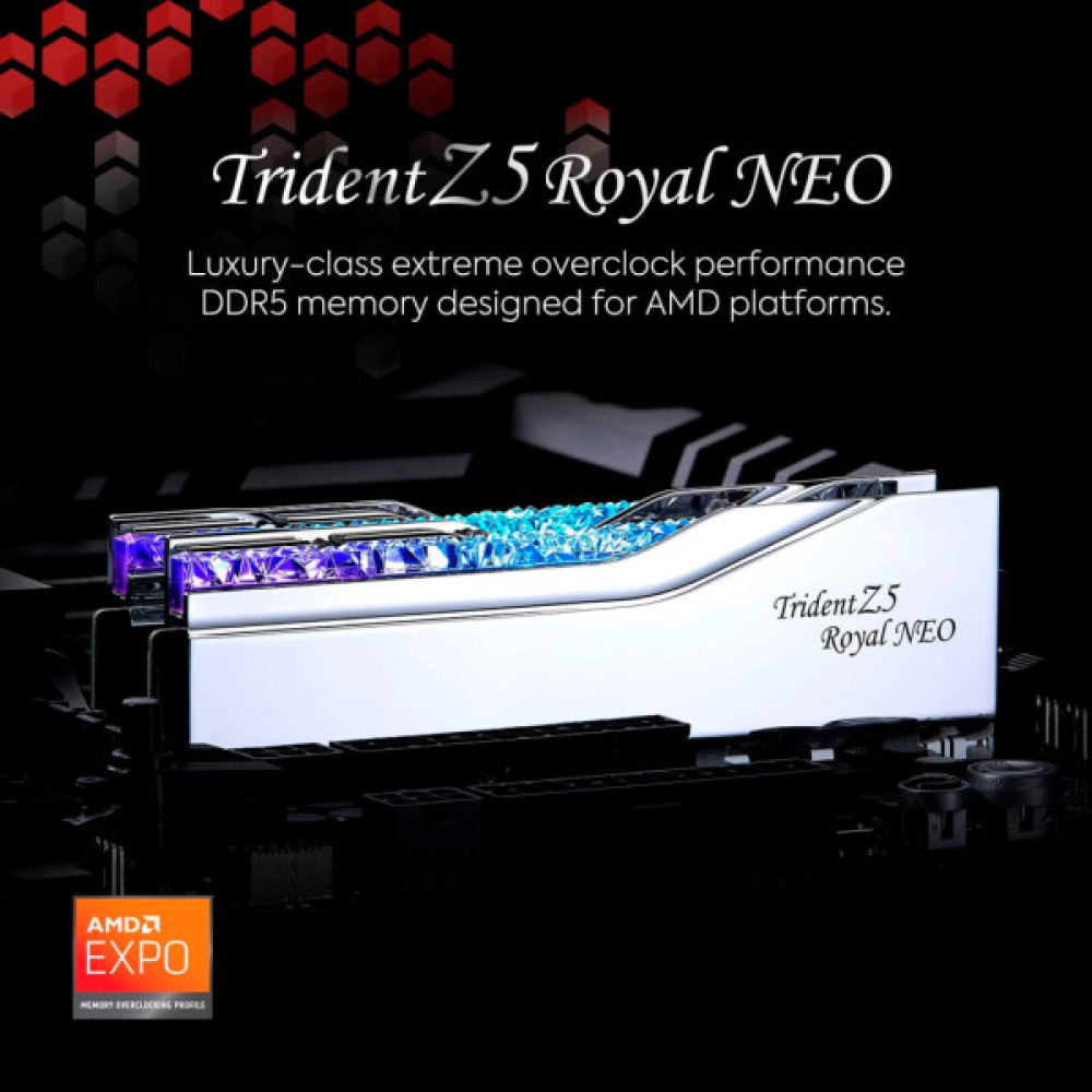 Модуль пам'яті для комп'ютера DDR5 32GB (2x16GB) 6000 MHz Trident Z5 Royal Silver G.Skill (F5-6000J2836G16GX2-TR5S)