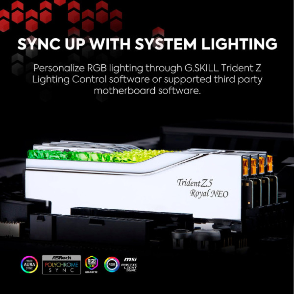 Модуль пам'яті для комп'ютера DDR5 32GB (2x16GB) 6000 MHz Trident Z5 Royal Silver G.Skill (F5-6000J2836G16GX2-TR5S)