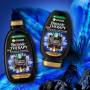 Кондиціонер для волосся Garnier Botanic Therapy Магнетичне вугілля 200 мл (3600542512268) Кондиціонер для волосся Garnier Botanic Therapy Магнетичне вугілля 200 мл (3600542512268)