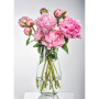 Ваза Bohemia Crystal Margo Plain 30.5 см (B82237-305) Ваза Bohemia Crystal Margo Plain 30.5 см (B82237-305)