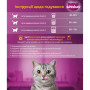 Сухий корм для кішок Whiskas з куркою 800 г (5998749144367) Сухий корм для кішок Whiskas з куркою 800 г (5998749144367)