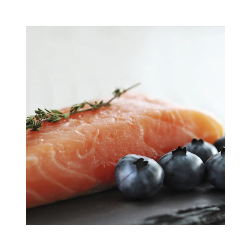 Консерви для собак Orygo Salmon and blackberry 400 г (8436586312282)