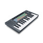 MIDI-клавіатура Novation FLkey Mini (233536) MIDI-клавіатура Novation FLkey Mini (233536)
