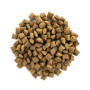 Сухий корм для кішок Brit Care Cat GF Sterilized Weight Control 7 кг (8595602540785) Сухий корм для кішок Brit Care Cat GF Sterilized Weight Control 7 кг (8595602540785)