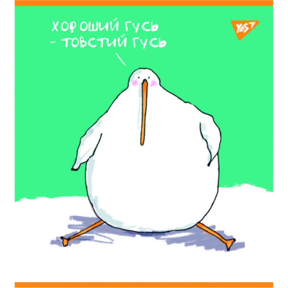 Зошит Yes А5 Гусь 48 аркушів клітинка (766869)