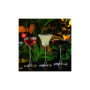 Келих Onis (Libbey) Bespoke Martini 190 мл (440119) Келих Onis (Libbey) Bespoke Martini 190 мл (440119)