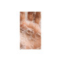 Рідке мило Sister's Aroma Smart Soap Півонія 500 мл (4820227782611) Рідке мило Sister's Aroma Smart Soap Півонія 500 мл (4820227782611)