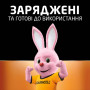 Акумулятор Duracell AA HR6 2500mAh * 4 (5000394057203 / 5007308) Акумулятор Duracell AA HR6 2500mAh * 4 (5000394057203 / 5007308)
