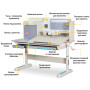 Парта Mealux Winnipeg Multicolor Gray (BD-630 MG + G Multicolor) Парта Mealux Winnipeg Multicolor Gray (BD-630 MG + G Multicolor)