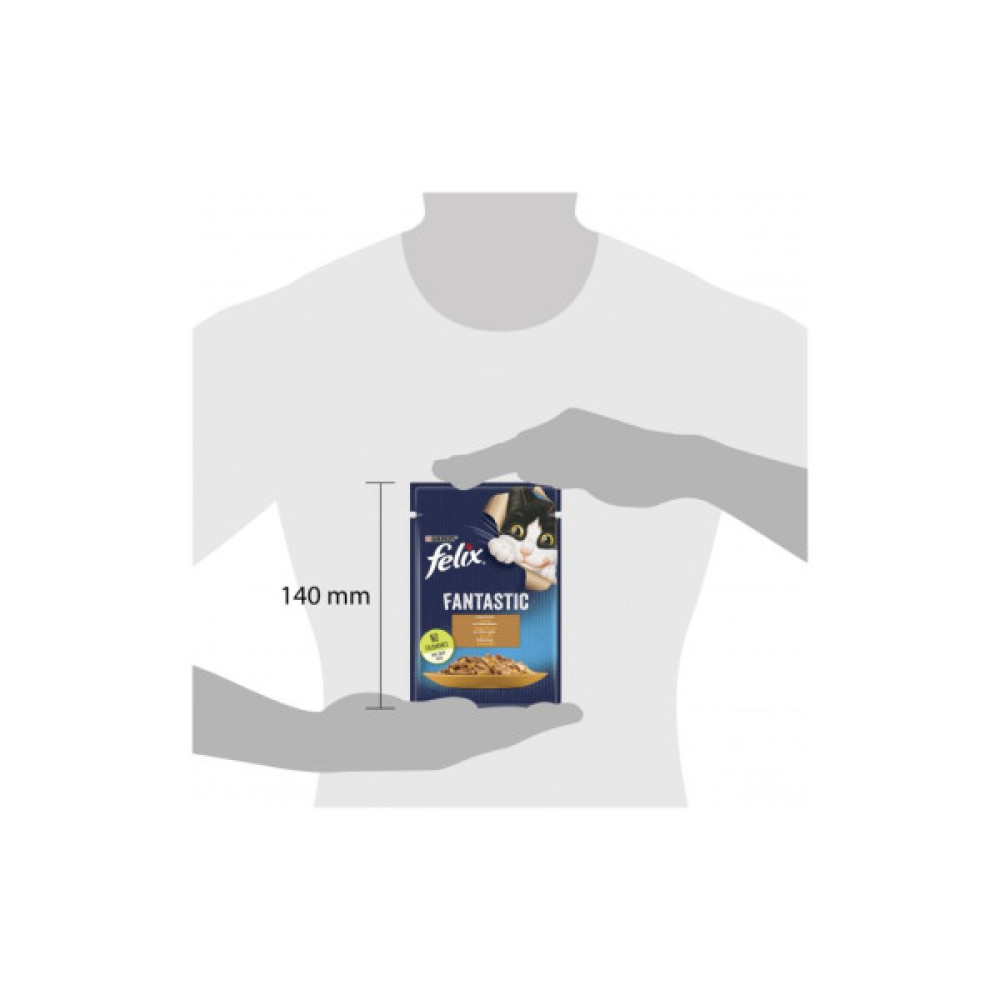 Вологий корм для кішок Purina Felix Fantastic з індичкою в желе 85 г (7613039832516)