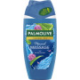 Гель для душу Palmolive Thermal Spa Мінеральний масаж з морською сіллю та алое 250 мл (8718951427747) Гель для душу Palmolive Thermal Spa Мінеральний масаж з морською сіллю та алое 250 мл (8718951427747)