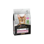Сухий корм для кішок Purina Pro Plan Delicate Lamb зі смаком ягняти 3 кг (7613035846708) Сухий корм для кішок Purina Pro Plan Delicate Lamb зі смаком ягняти 3 кг (7613035846708)