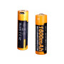 Акумулятор Fenix 14500 micro usb зарядка (ARB-L14-1600U) Акумулятор Fenix 14500 micro usb зарядка (ARB-L14-1600U)